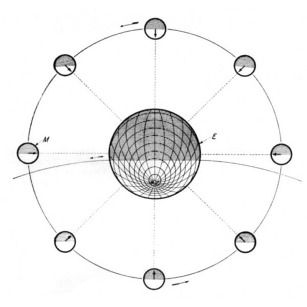 Illusion of axial rotation fig2